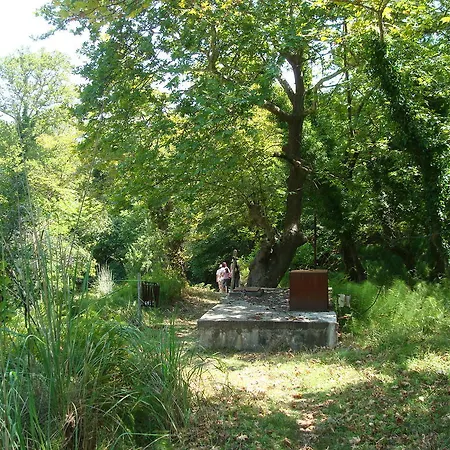 Гостевой дом Amanitis Caesarea